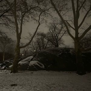 Meet your Posher, Francisco